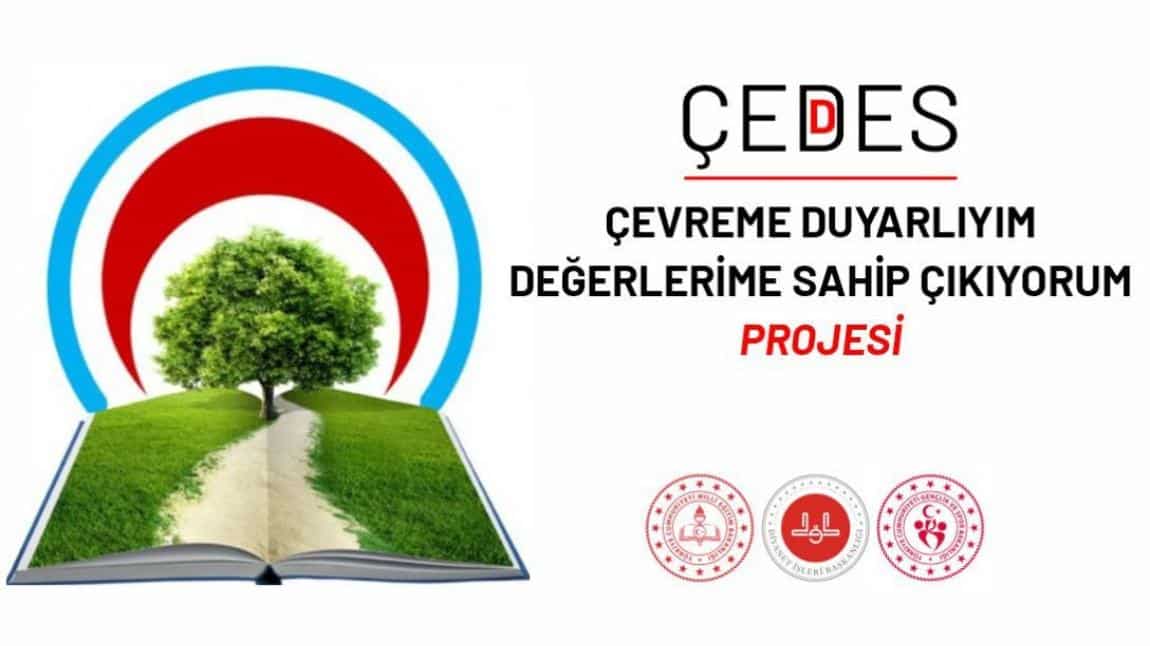 2024-2025 Eğitim Öğretim Yılı ÇEDES Projesi